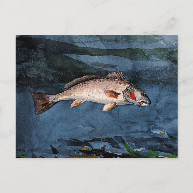 Postal Homer - Channel Bass, Florida (Anverso)