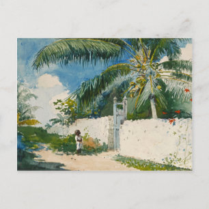 Postal Homer Garden Nassau Vintage Tropical Watercolor
