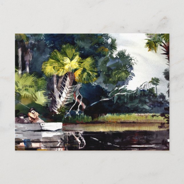 Postal Homer - Homosassa Jungle (Anverso)