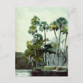 Postal Homer - Río Homosassa