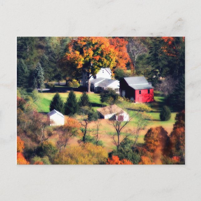 Postal Homestead (Anverso)