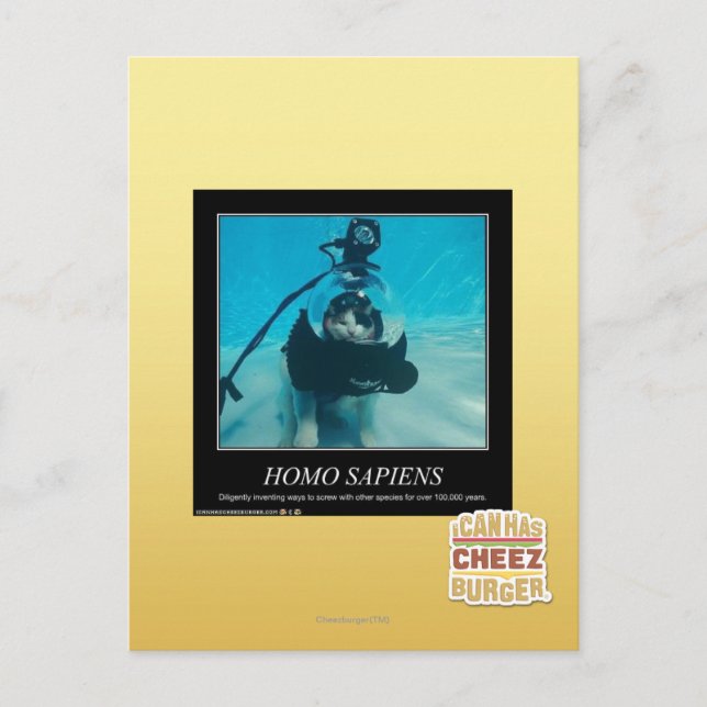 Postal Homo Sapiens (Anverso)