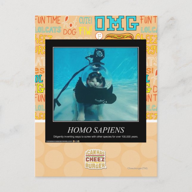 Postal Homo Sapiens (Anverso)
