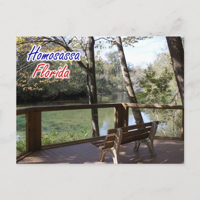 Postal Homosassa Florida Postcard (Anverso)