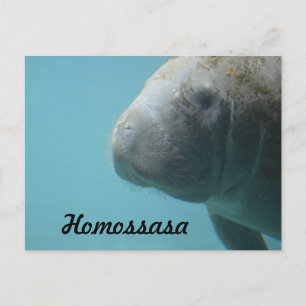 Postal Homossasa Springs