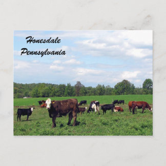Postal Honesdale Pennsylvania Postcard