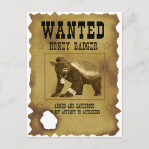 Postal Honey Badger Wanted Poster