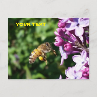 Postal Honey Bee ama al polen líaco