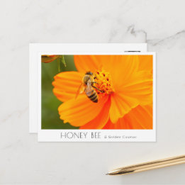 Postal Honey Bee & Golden Cosmos