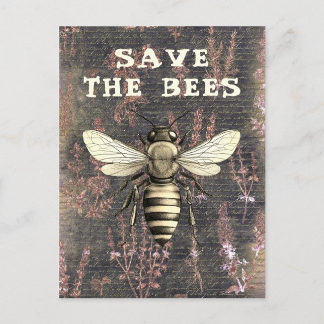 Postal Honey Bee Save the Bees Script Monocrome (Anverso)