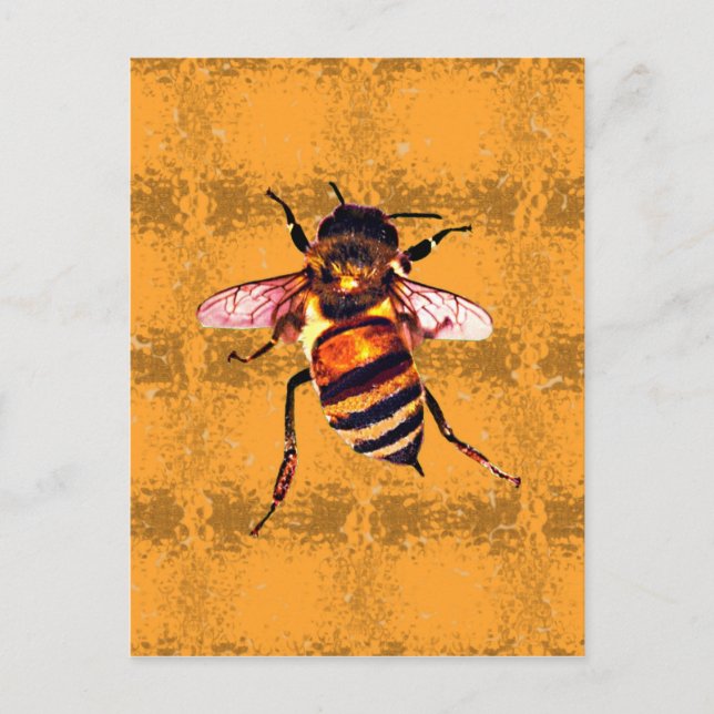 Postal Honeybee (Anverso)