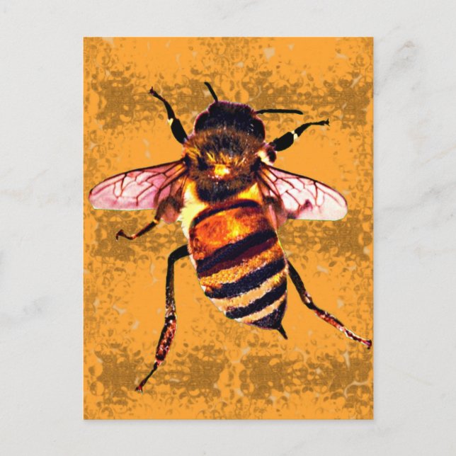 Postal Honeybee (Anverso)