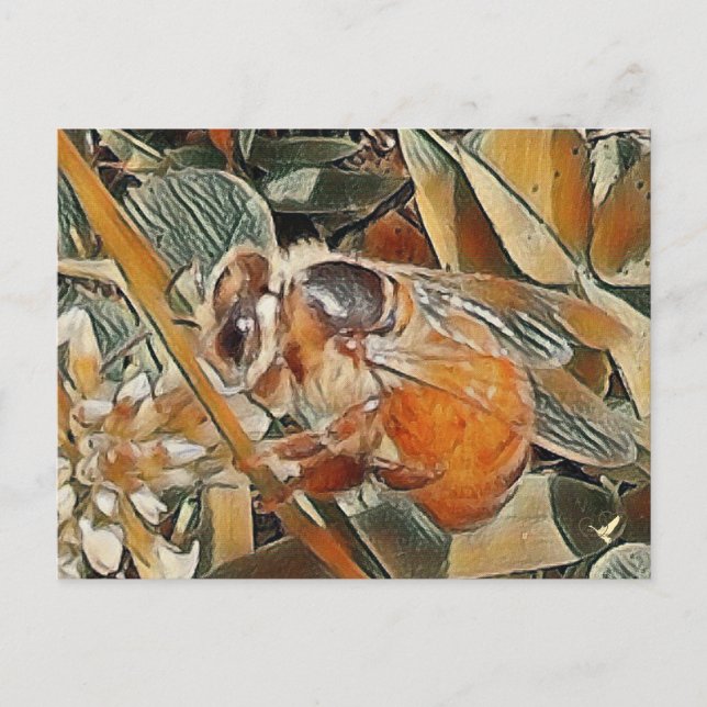 POSTAL HONEYBEE IN CLOVER - POSTCARTA (Anverso)