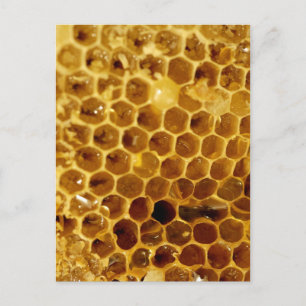 Postal Honeycomb