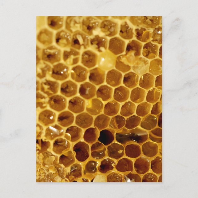 Postal Honeycomb (Anverso)
