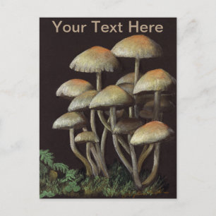 Postal Hongos
