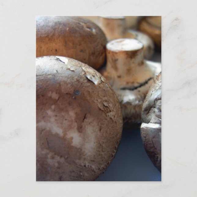 Postal Hongos crimini (Anverso)