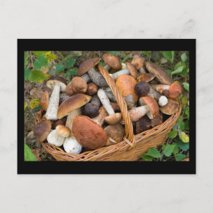 Postal hongos de otoño