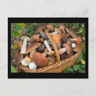 Postal hongos de otoño