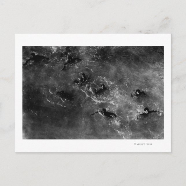 Postal Honolulu, HA - Buceadores cerca del puerto de Hono (Anverso)