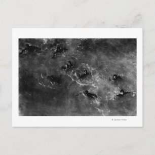 Postal Honolulu, HA - Buceadores cerca del puerto de Hono