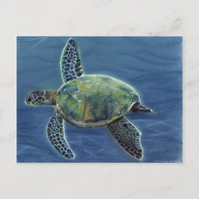 Postal Honu Postcard (Anverso)