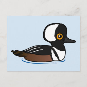 Postal Hooded Merganser