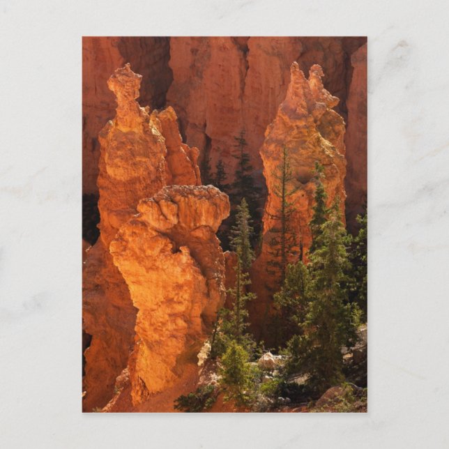 Postal Hoodoos Y Goblins (Anverso)