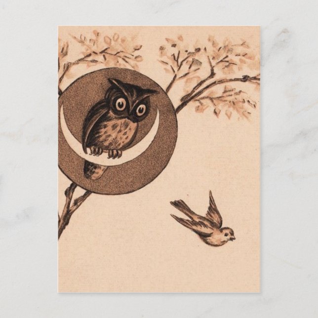 Postal ¡Hooooot! (Anverso)