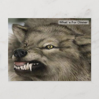Postal Hora de la cena Gray Wolf