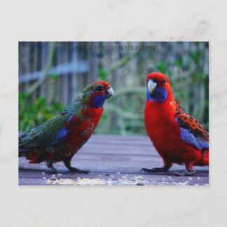 Postal Hora de la fecha