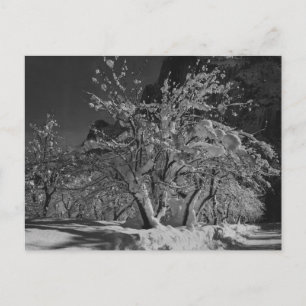 Postal Hora de la noche del invierno