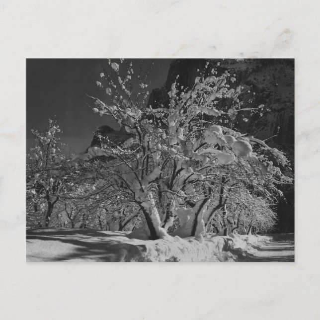 Postal Hora de la noche del invierno (Anverso)