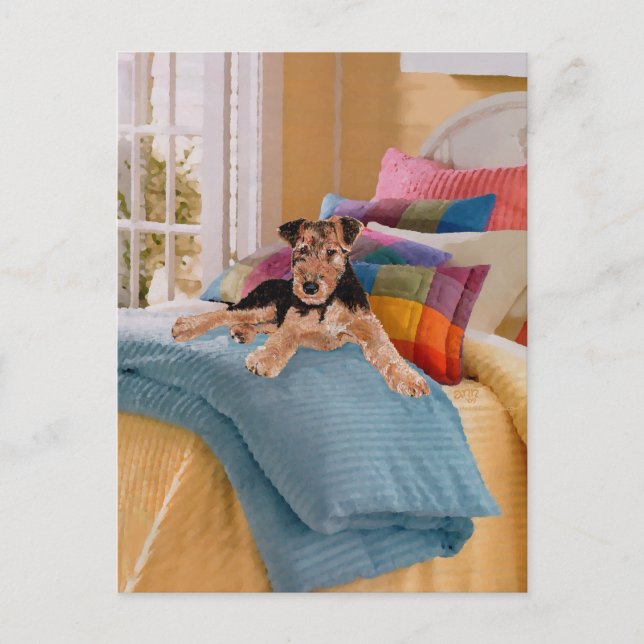 Postal Hora de la siesta para cachorro (Anverso)