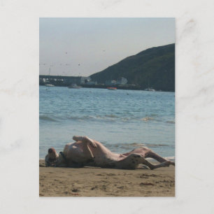 Postal Hora de Nap...