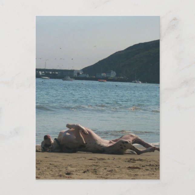 Postal Hora de Nap... (Anverso)