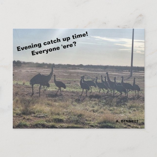 Postal Hora de ponerse al día por la noche (Anverso)