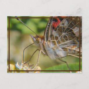 Postal Hora de primavera