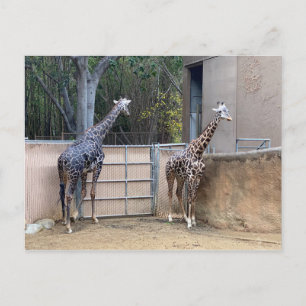 Postal Hora del almuerzo