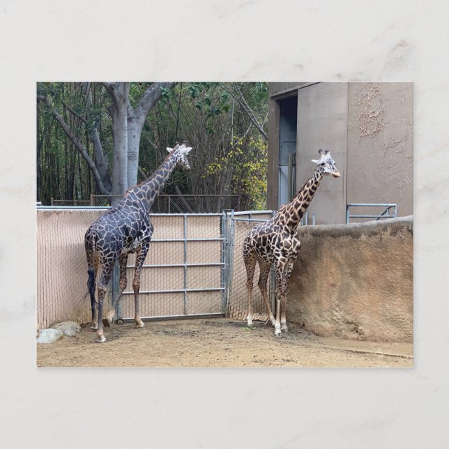 Postal Hora del almuerzo (Anverso)
