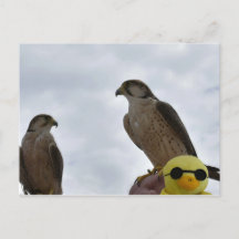 Hora equivocada del lugar