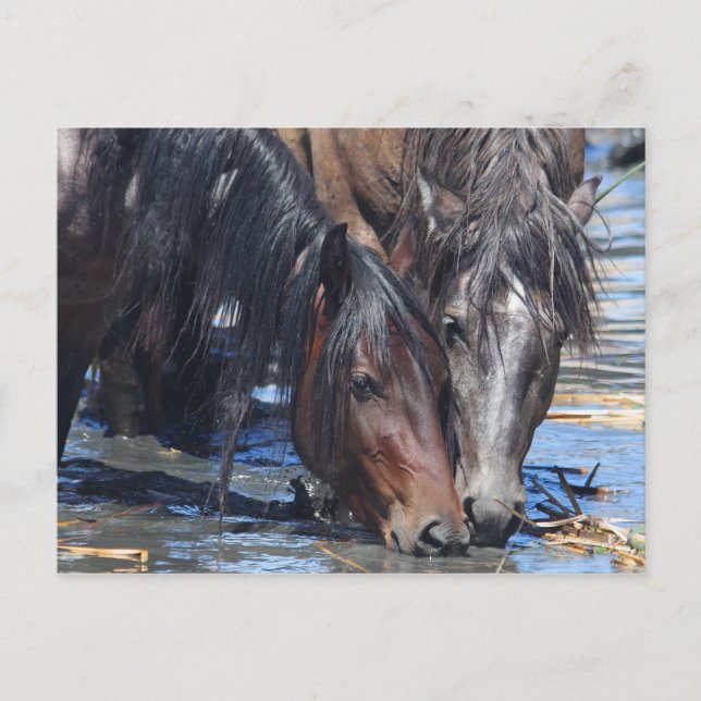 Postal Hora feliz (Anverso)