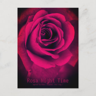 Postal Hora nocturna de Rosa:postal