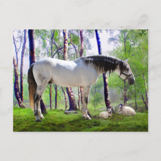 Postal "Horario de verano"