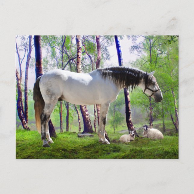 Postal "Horario de verano" (Anverso)