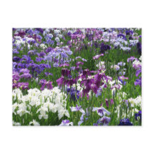 Horikiri Iris Garden: Tokio, Japón
