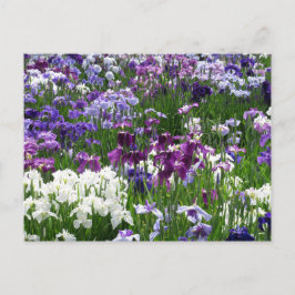 Postal Horikiri Iris Garden: Tokio, Japón