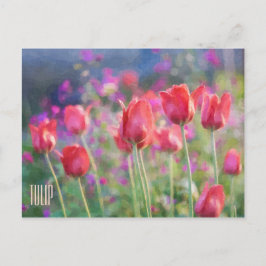 Postal horizontal de tulipanes
