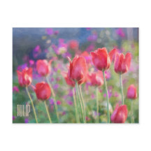 Postal horizontal de tulipanes