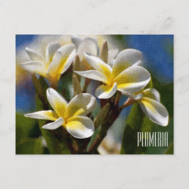 Postal horizontal Plumeria